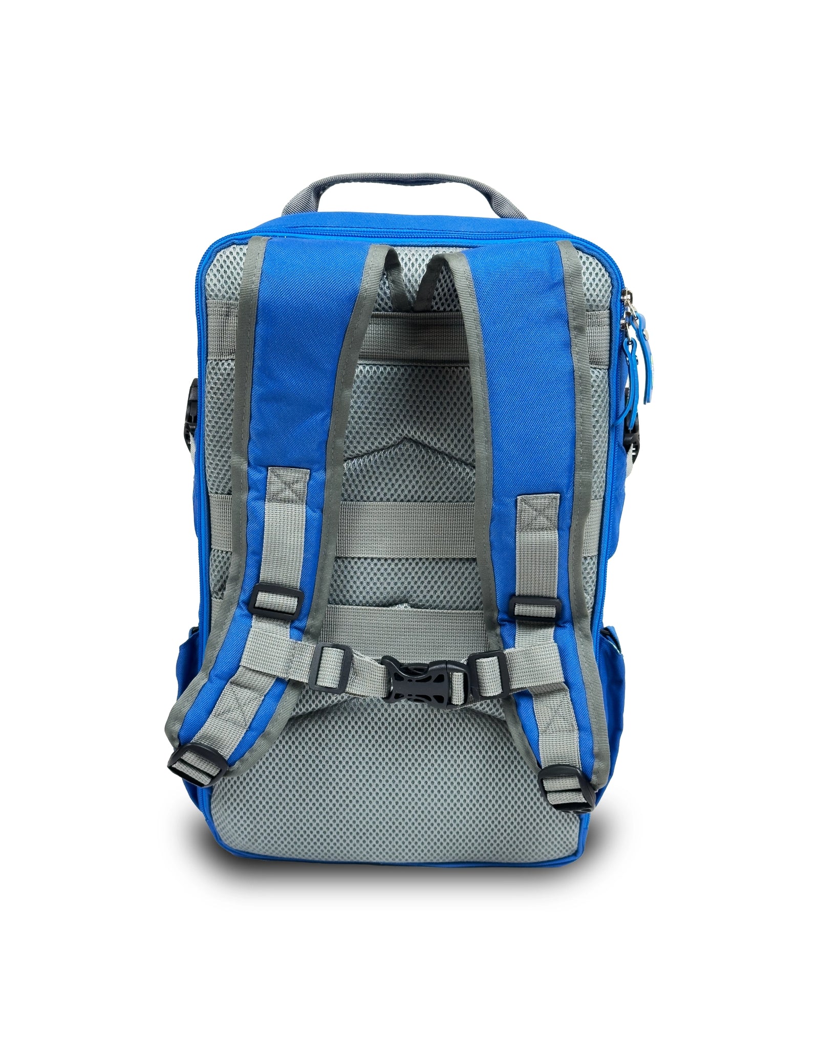 Skate Backpack Electric Blue